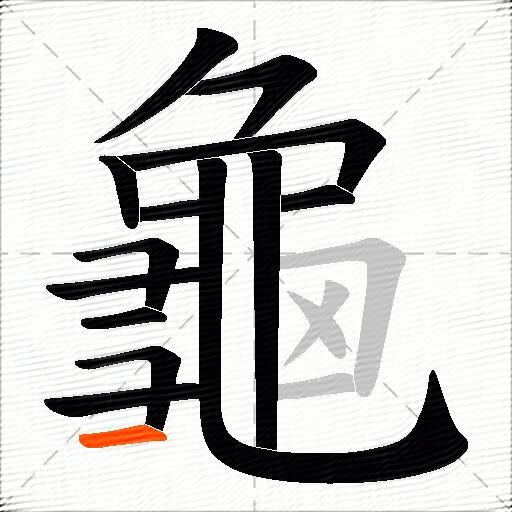 龜