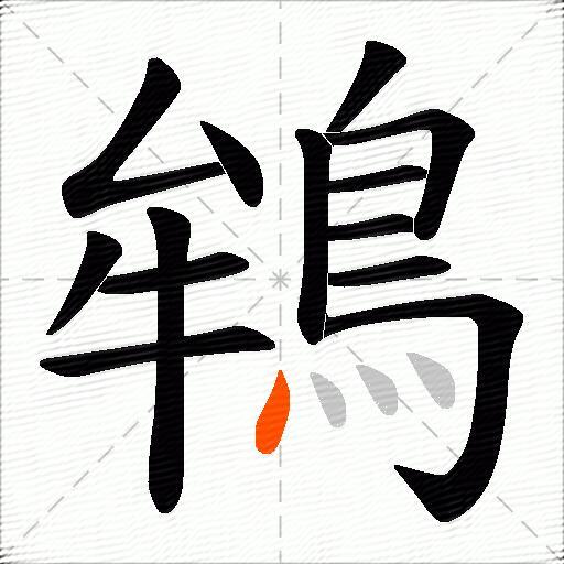 鴾