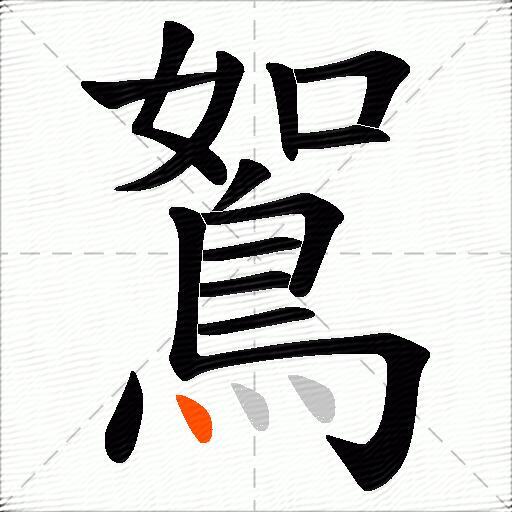 鴽