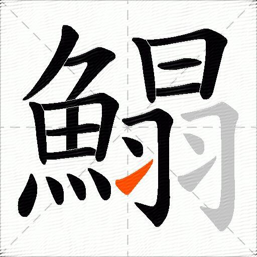 鰨