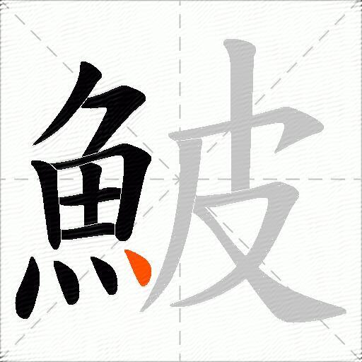 鮍