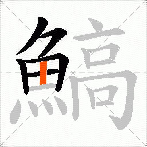 鰝