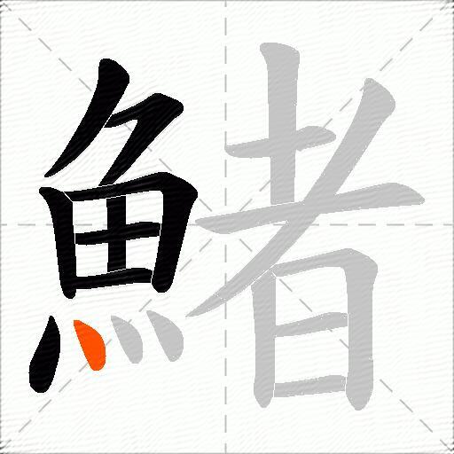 鯺