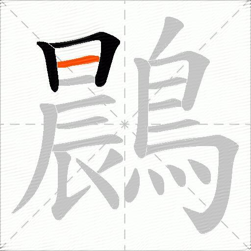 鷐
