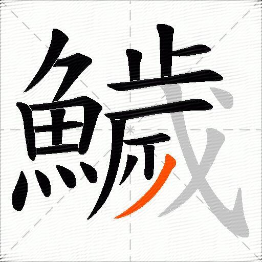 鱥