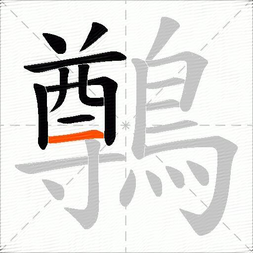 鷷