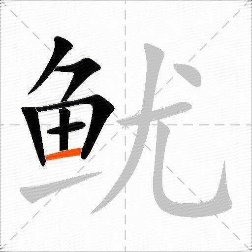 鱿
