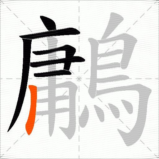 鷛