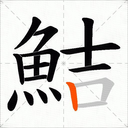 鮚