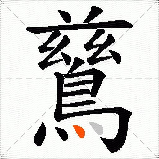 鶿