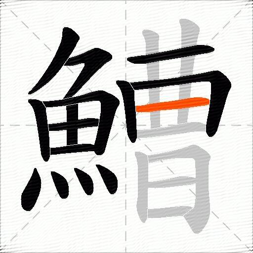 鰽