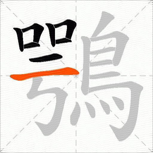 鶚