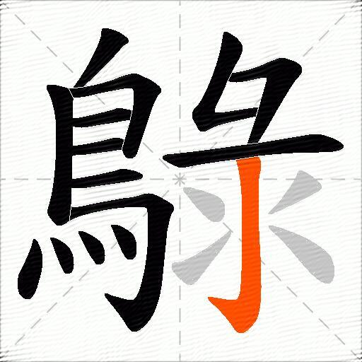 鵦