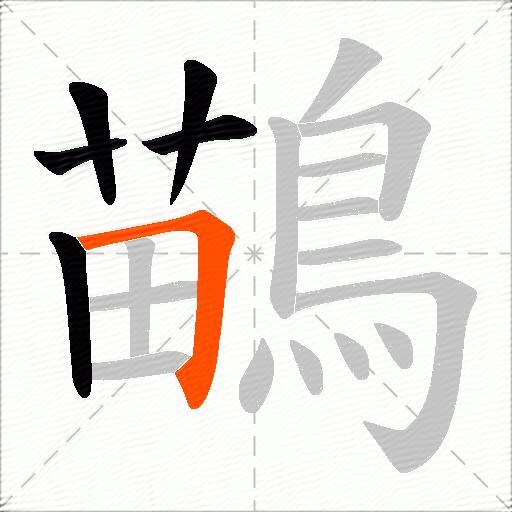 鶓