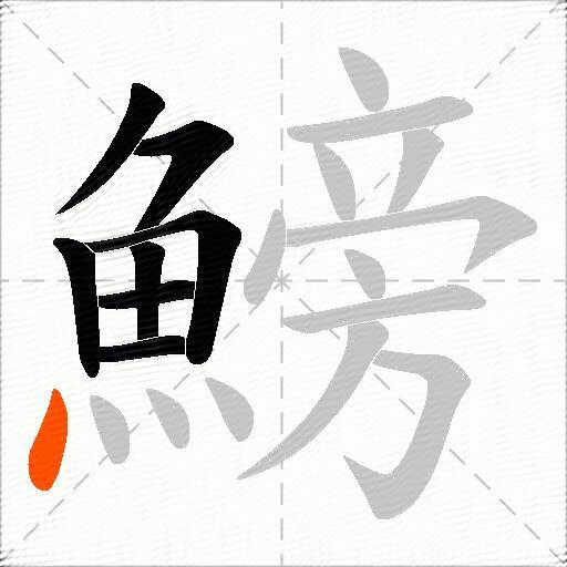 鰟