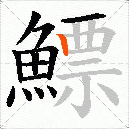 鰾