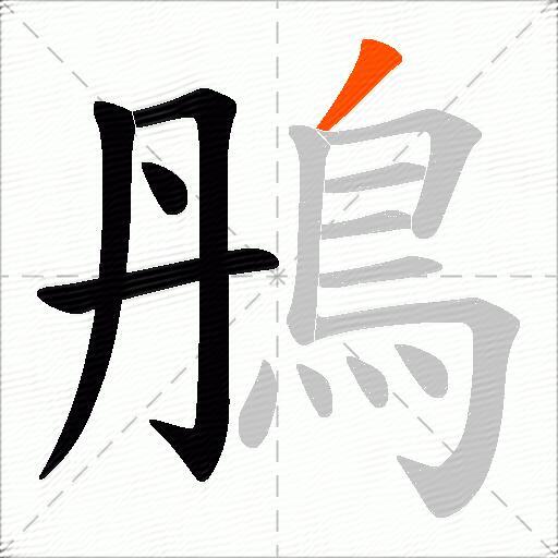 鴅