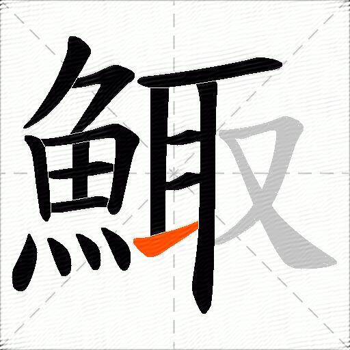 鯫