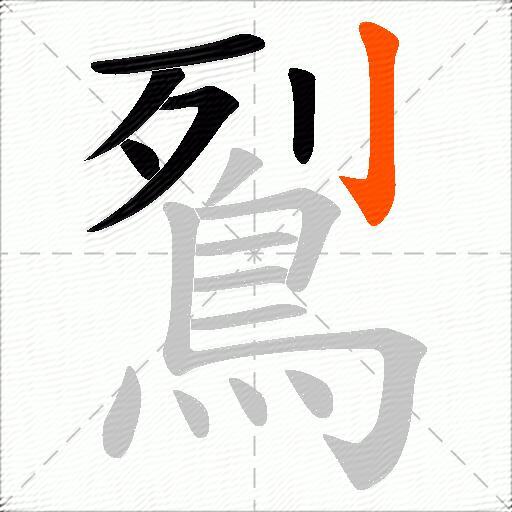 鴷