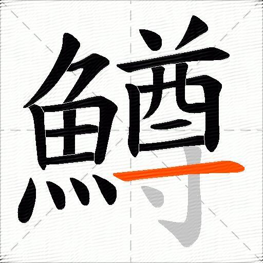鱒