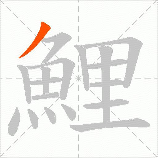 鯉