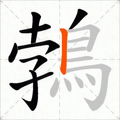 鵓