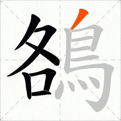 鵅