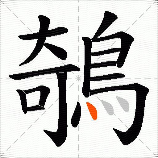 鵸
