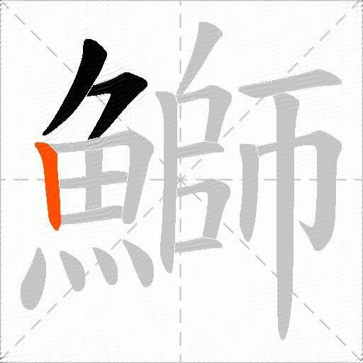 鰤