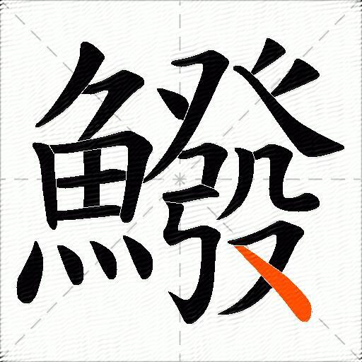 鱍