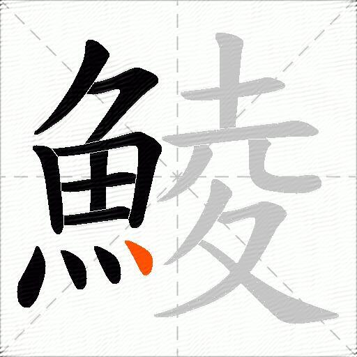 鯪