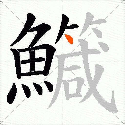 鱵