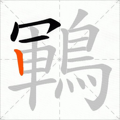鶤