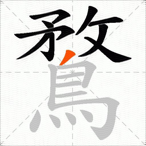 鶩