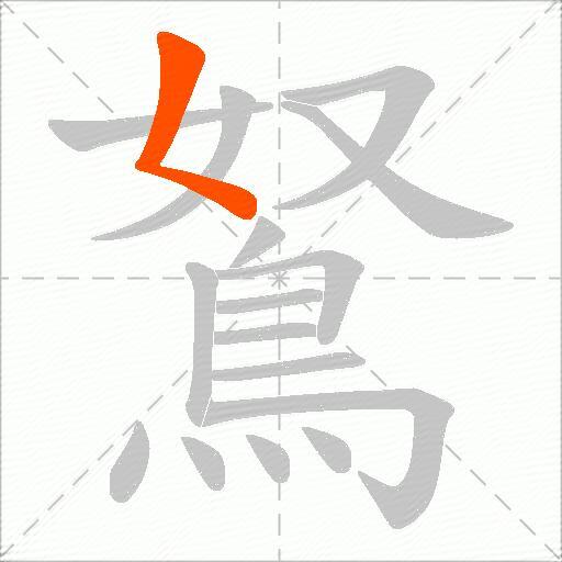 鴑