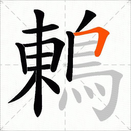 鶇