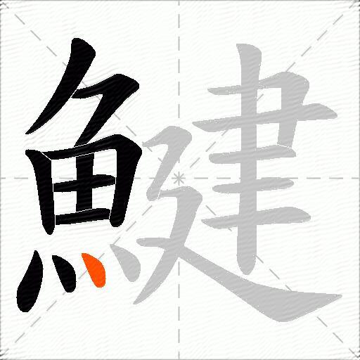 鰎