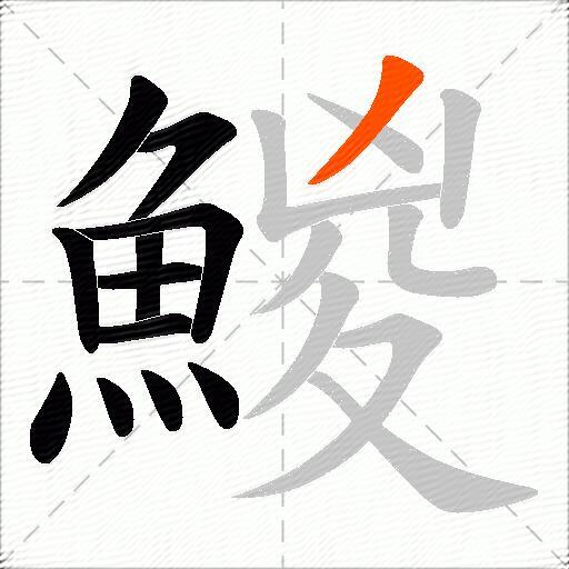 鯼