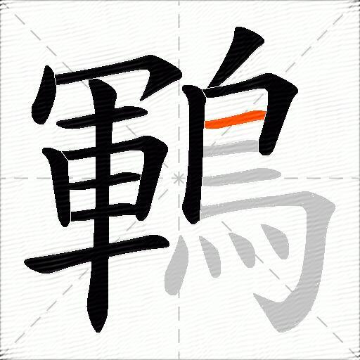 鶤