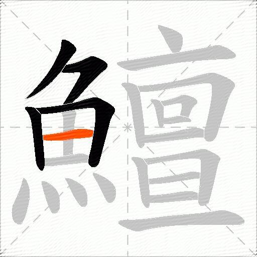 鱣