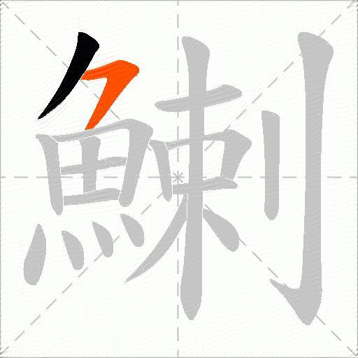 鯻