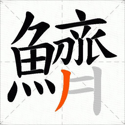 鱭