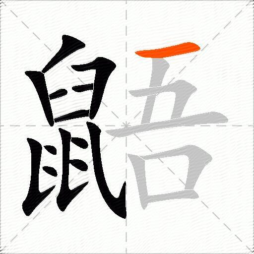 鼯