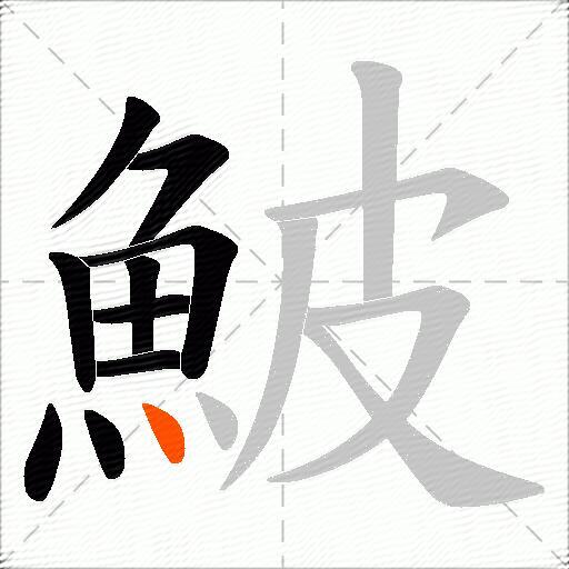 鮍