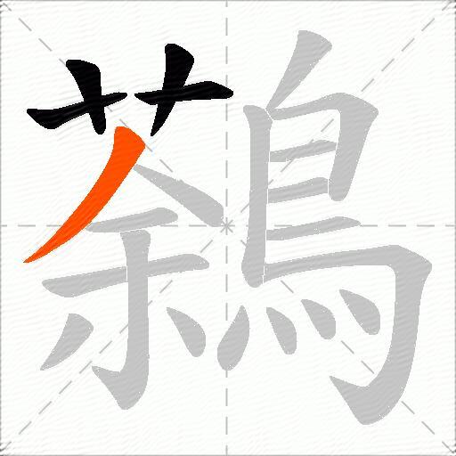 鷋