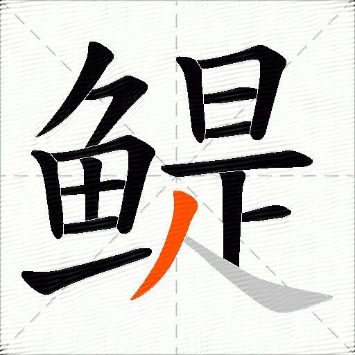 鳀