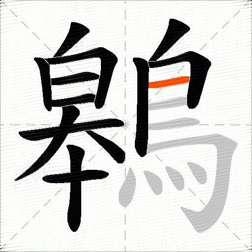 鷎
