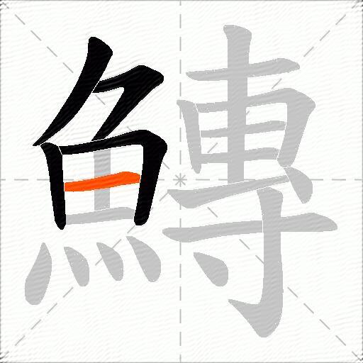 鱄