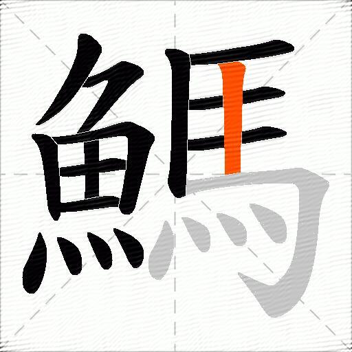 鰢