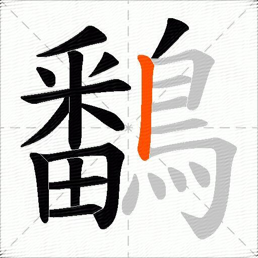 鷭